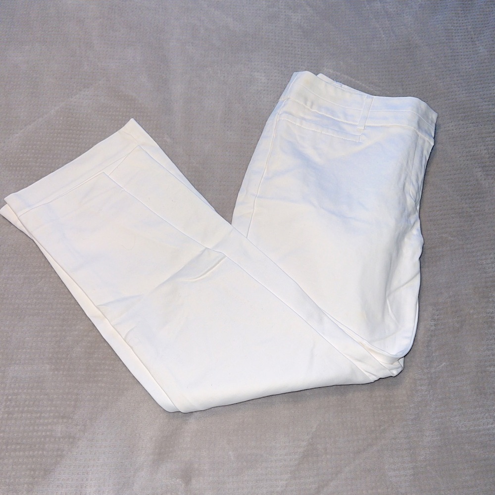 Women's Dalia Collection Pants 12P